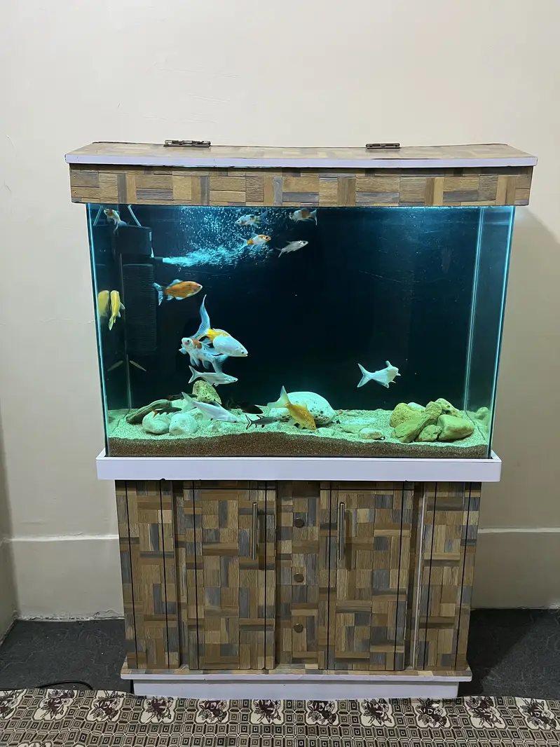 3 fit Aquarium & fishes — photo 2