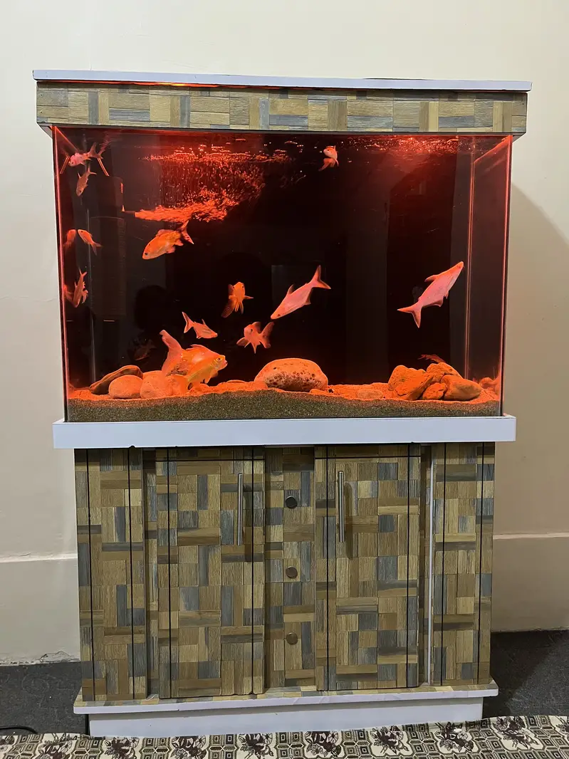 3 fit Aquarium & fishes — photo 3