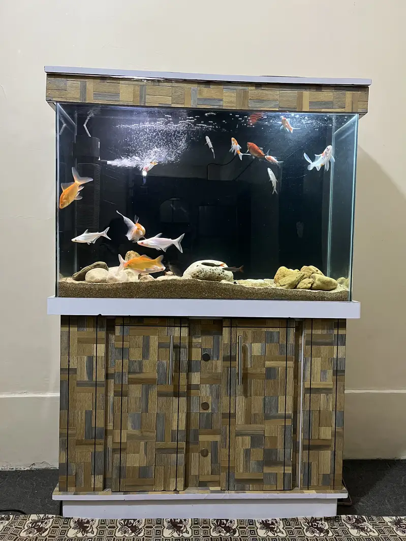3 fit Aquarium & fishes — photo 4