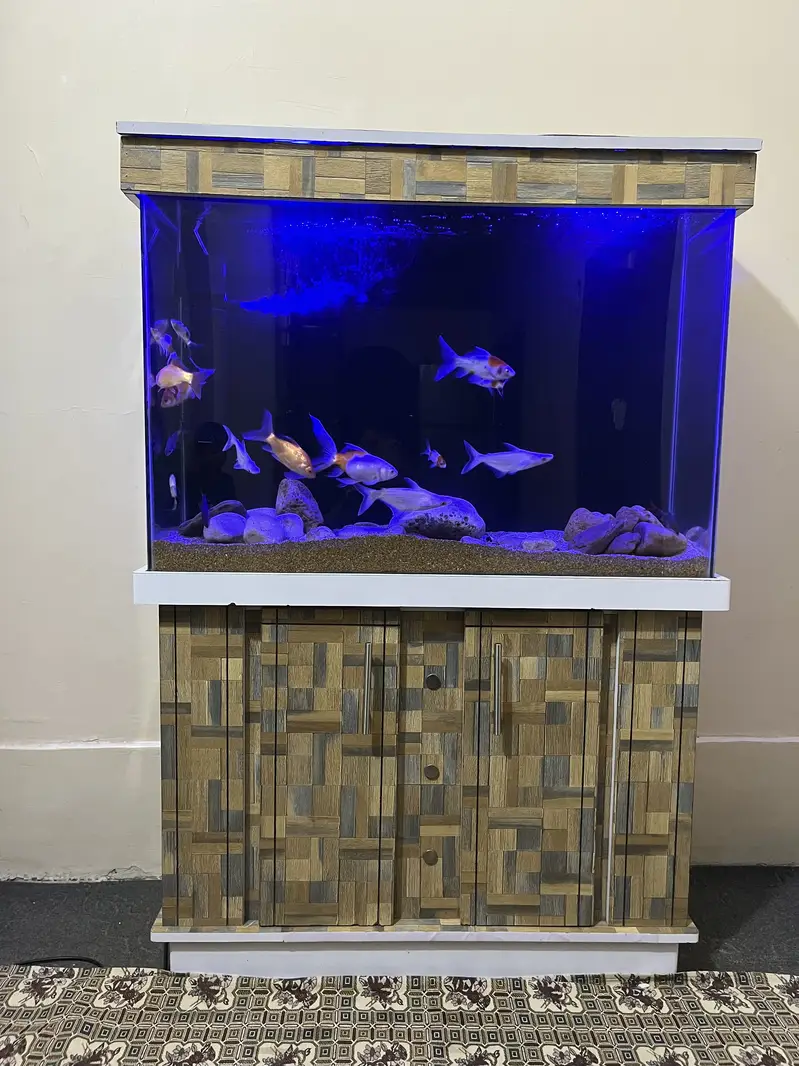 3 fit Aquarium & fishes — photo 5