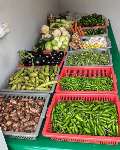 fresh vegetables at your door step