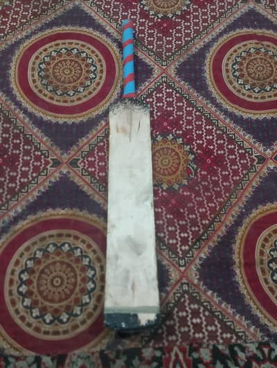 cricket bat