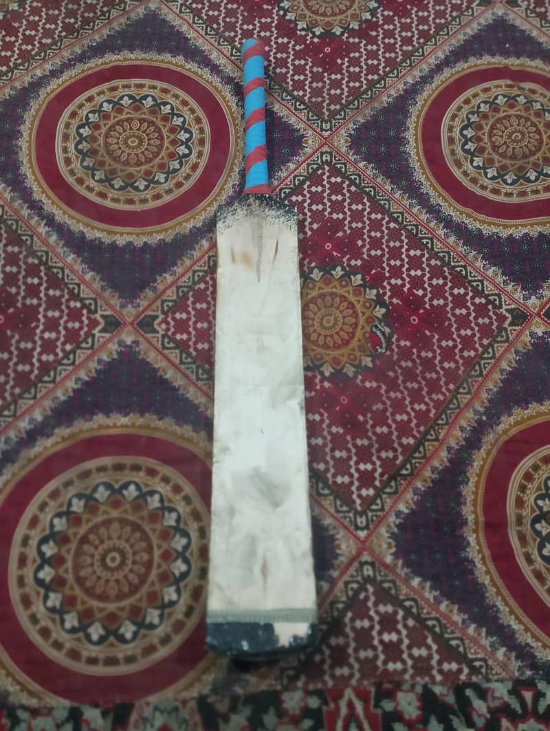 cricket bat 0