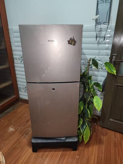 Hair  Refrigerator