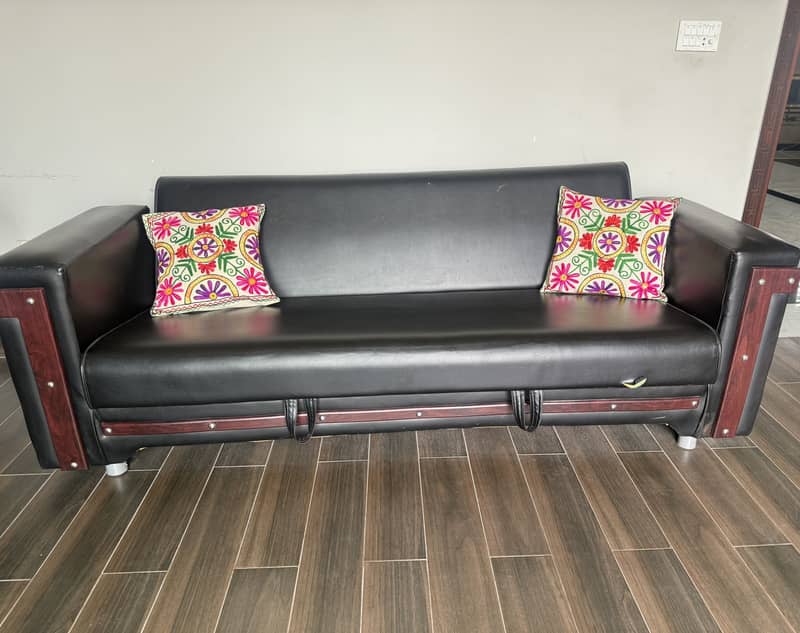 Sofa Cum Bed 1
