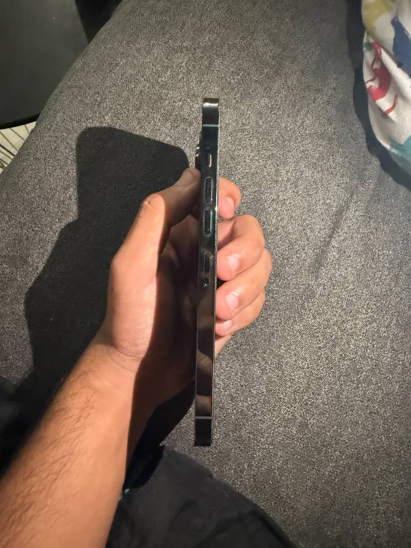 Apple iPhone 13 Pro Max 1