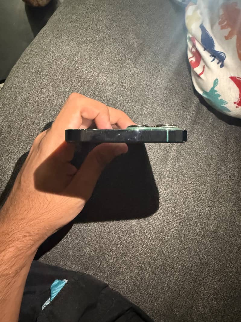 Apple iPhone 13 Pro Max 2