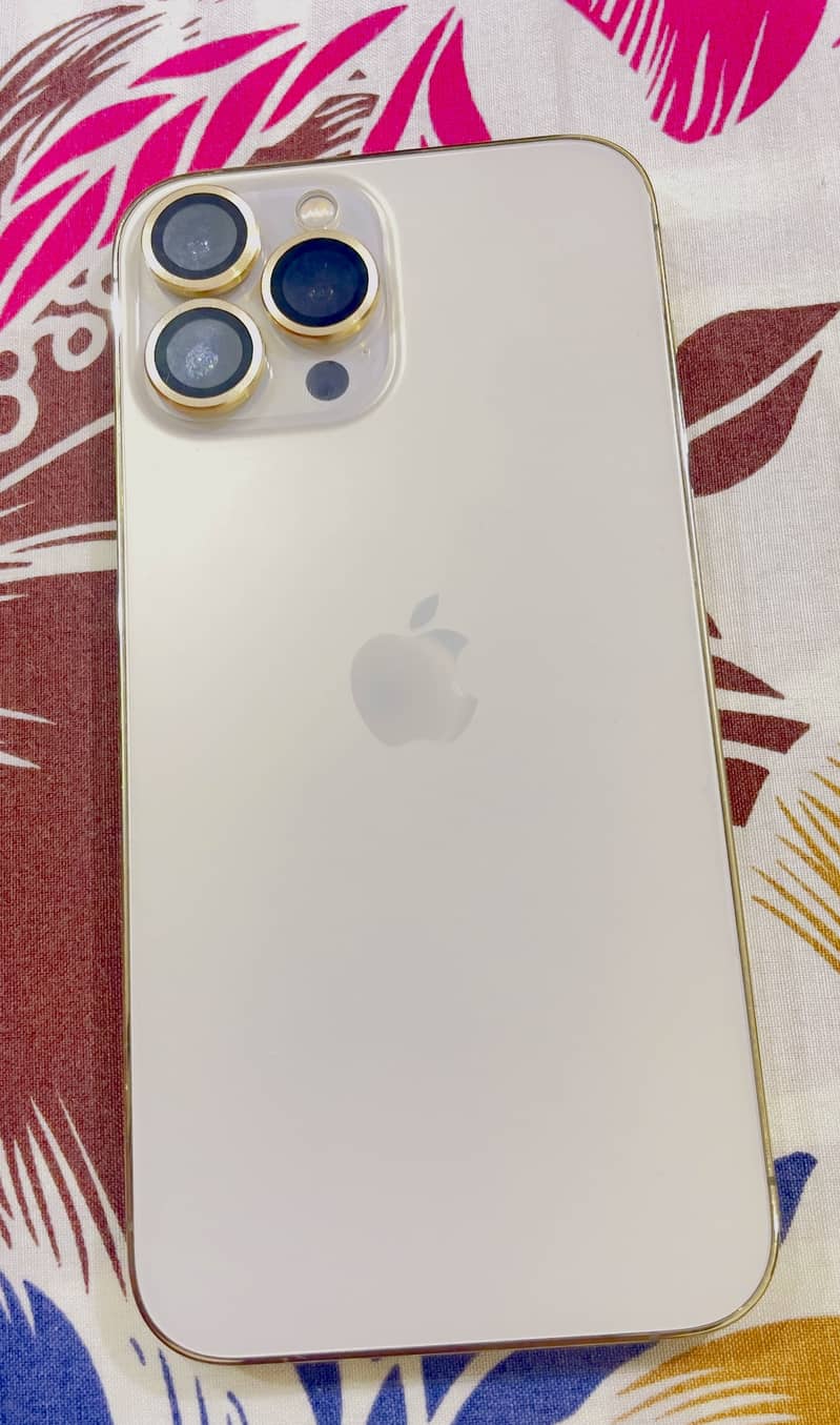 Apple iPhone 13 Pro Max 1