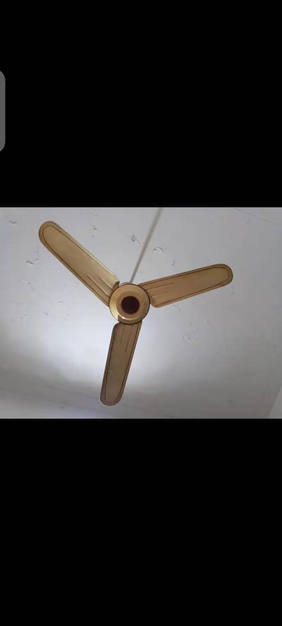 Ceiling fans