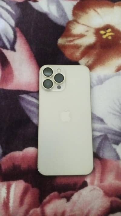 Apple iPhone 13 Pro Max