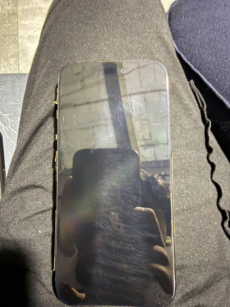 Apple iPhone 15 Pro Max 3