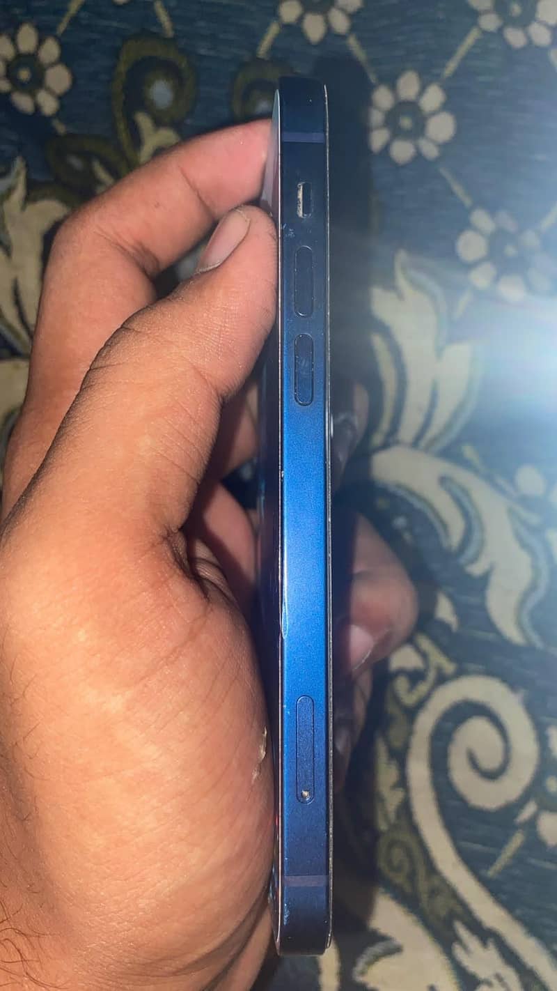 Apple iPhone 12 1