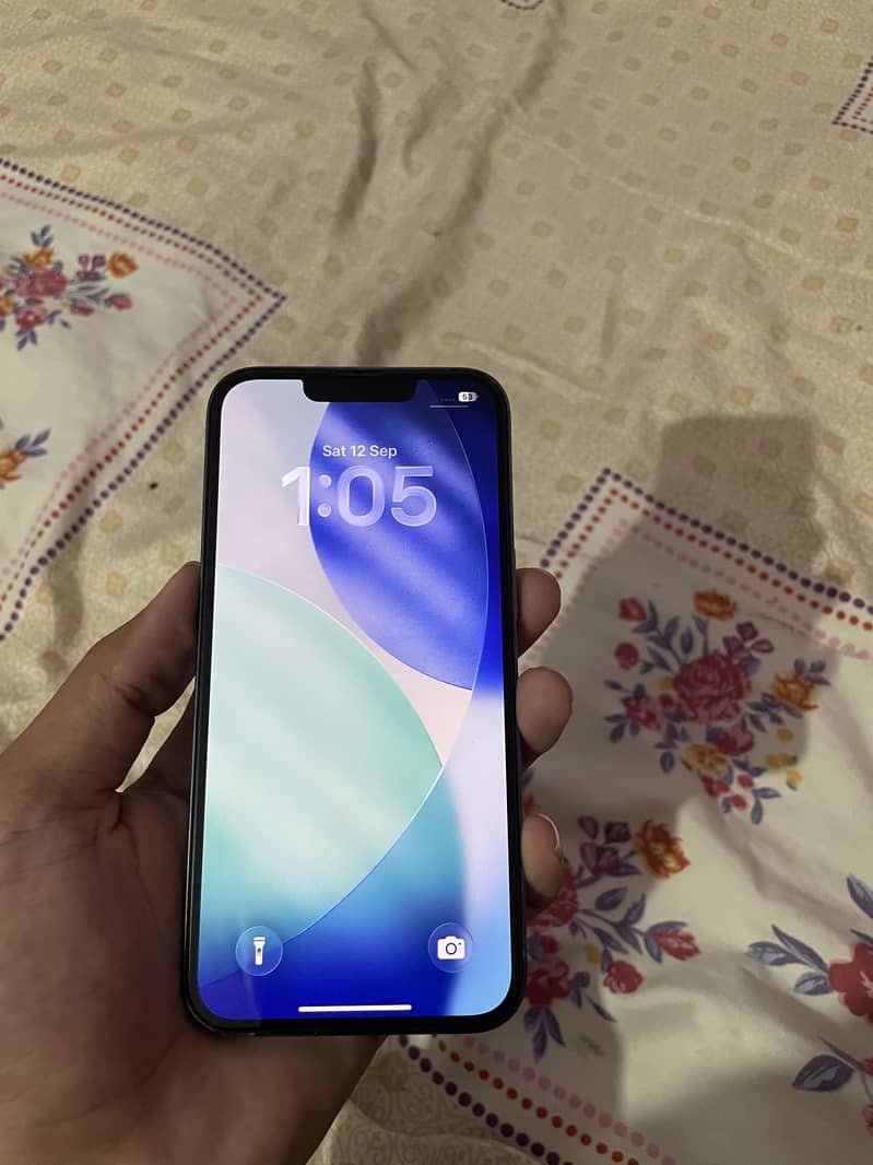 13 pro 1