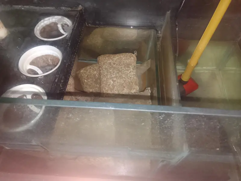 4 feet ka complete aquarium setup sale k lye available h with fishes — photo 2