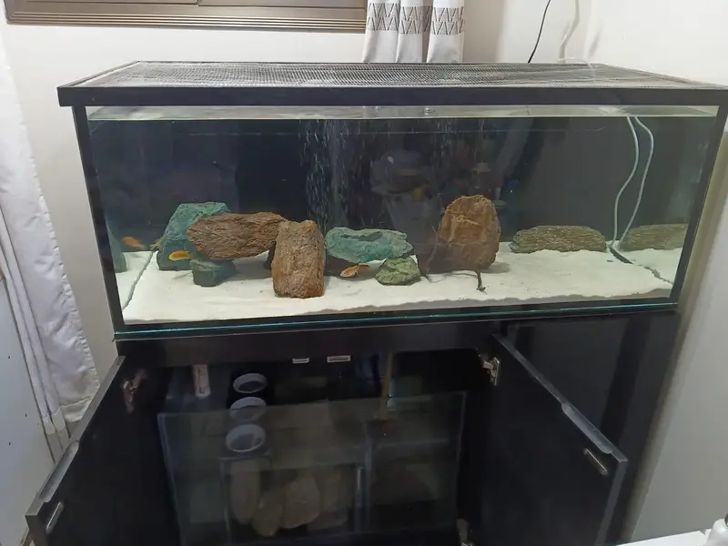 4 feet ka complete aquarium setup sale k lye available h with fishes — photo 11