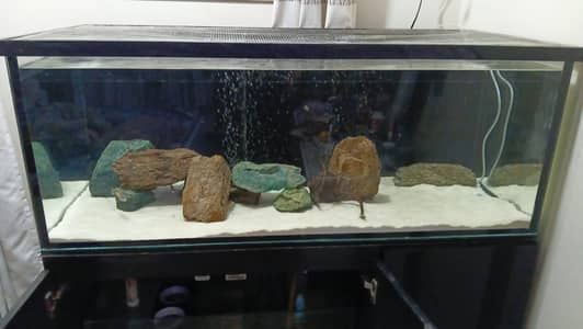 4 feet ka complete aquarium setup sale k lye available h with fishes