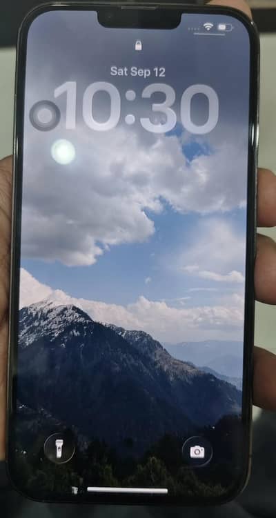 Apple iPhone 13 Pro Max