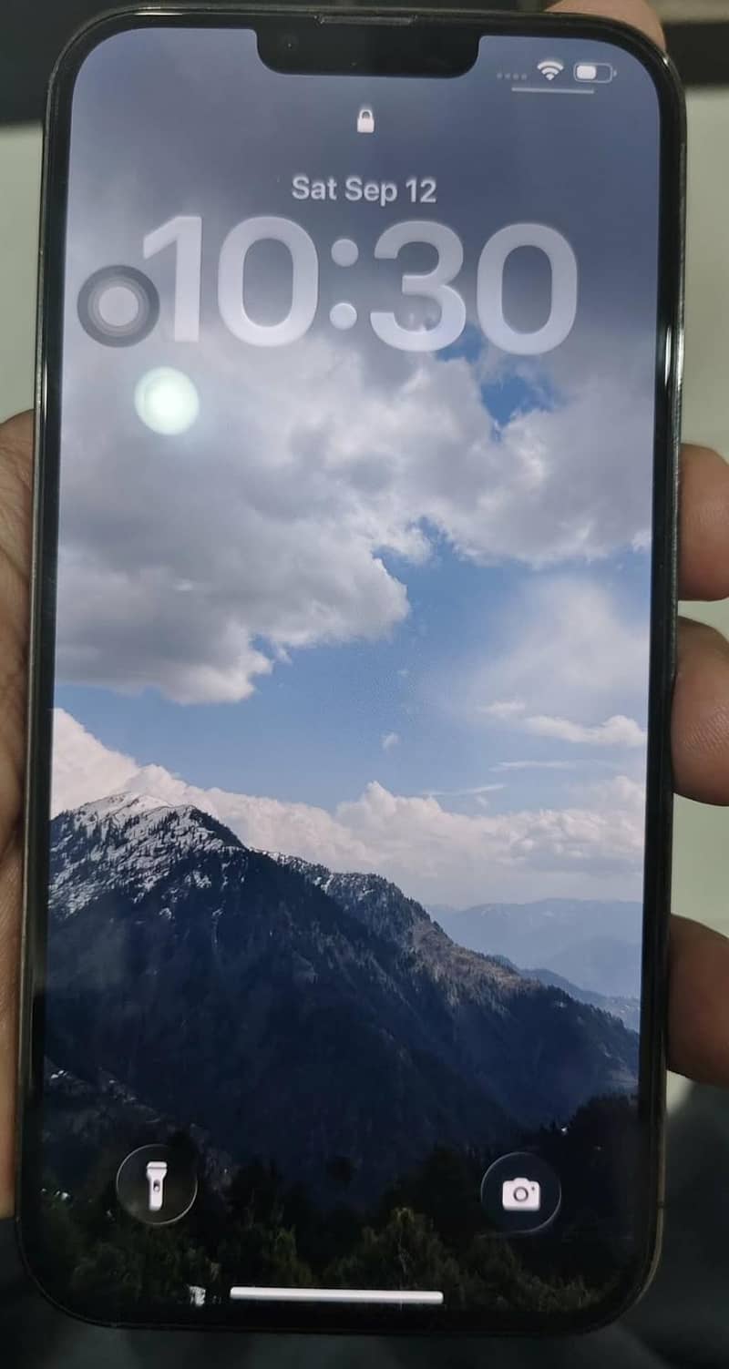 Apple iPhone 13 Pro Max 0