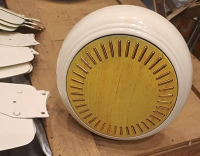 Inverter Indus Fans 1 season used only.