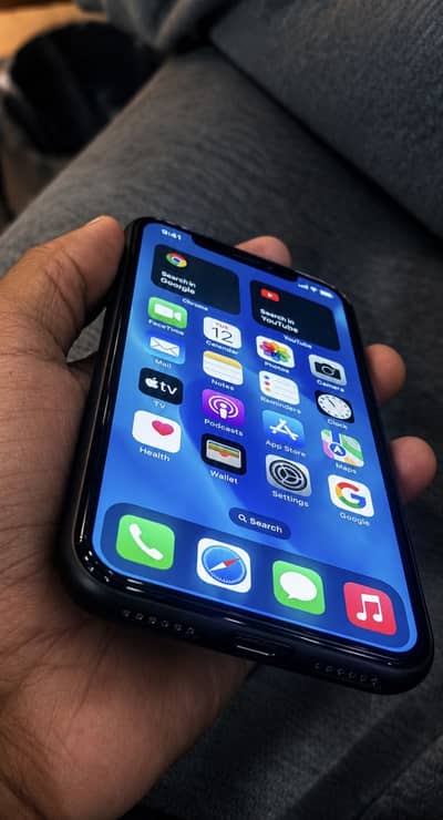 Apple iPhone X