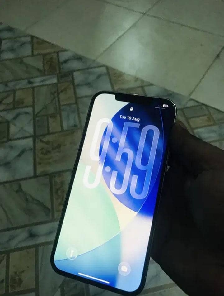 Apple iPhone 12 Pro Max 2