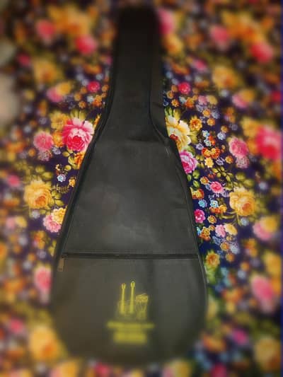 Acoustic guitar