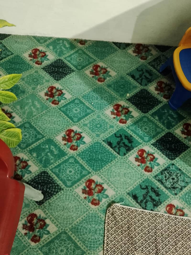 design carpet 0