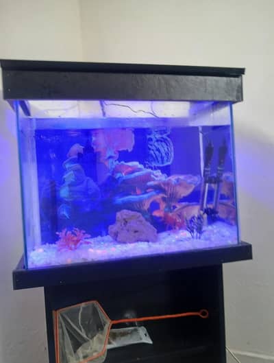Fishes & Aquarium with Trolley