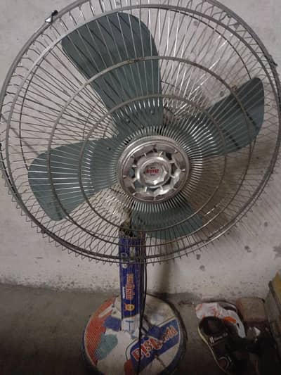 pak Assia fan