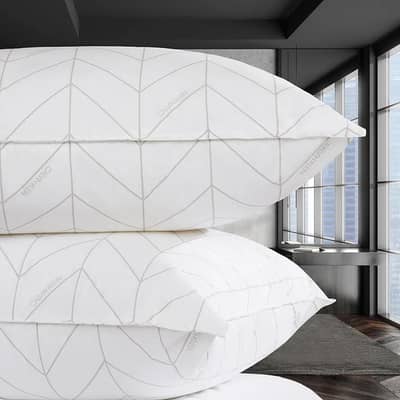 calvin klein and dorma pillow