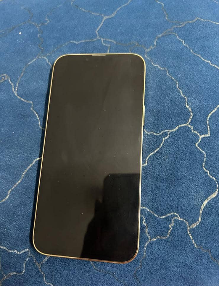 Apple iPhone 13 Pro Max 1