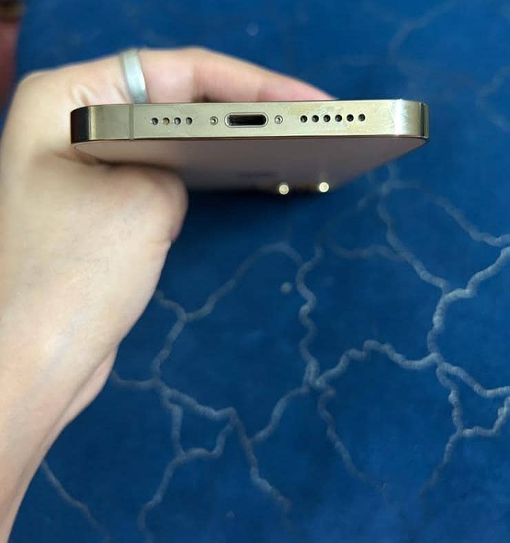 Apple iPhone 13 Pro Max 2