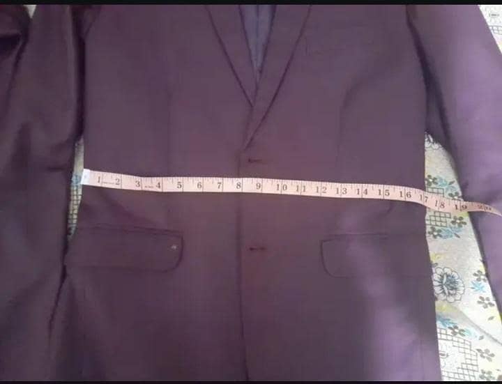 Pent Coat 1