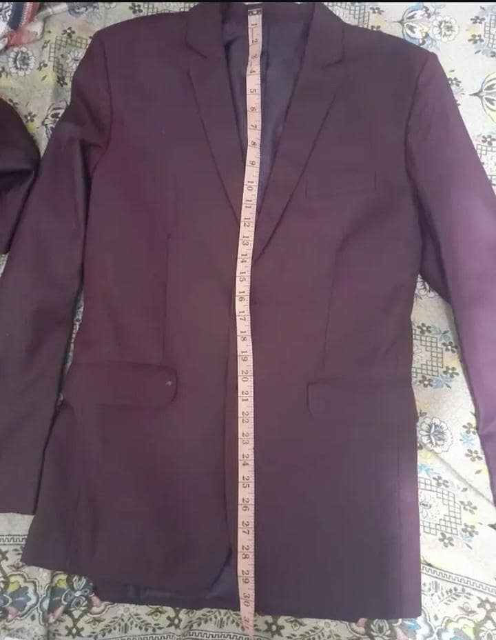 Pent Coat 2
