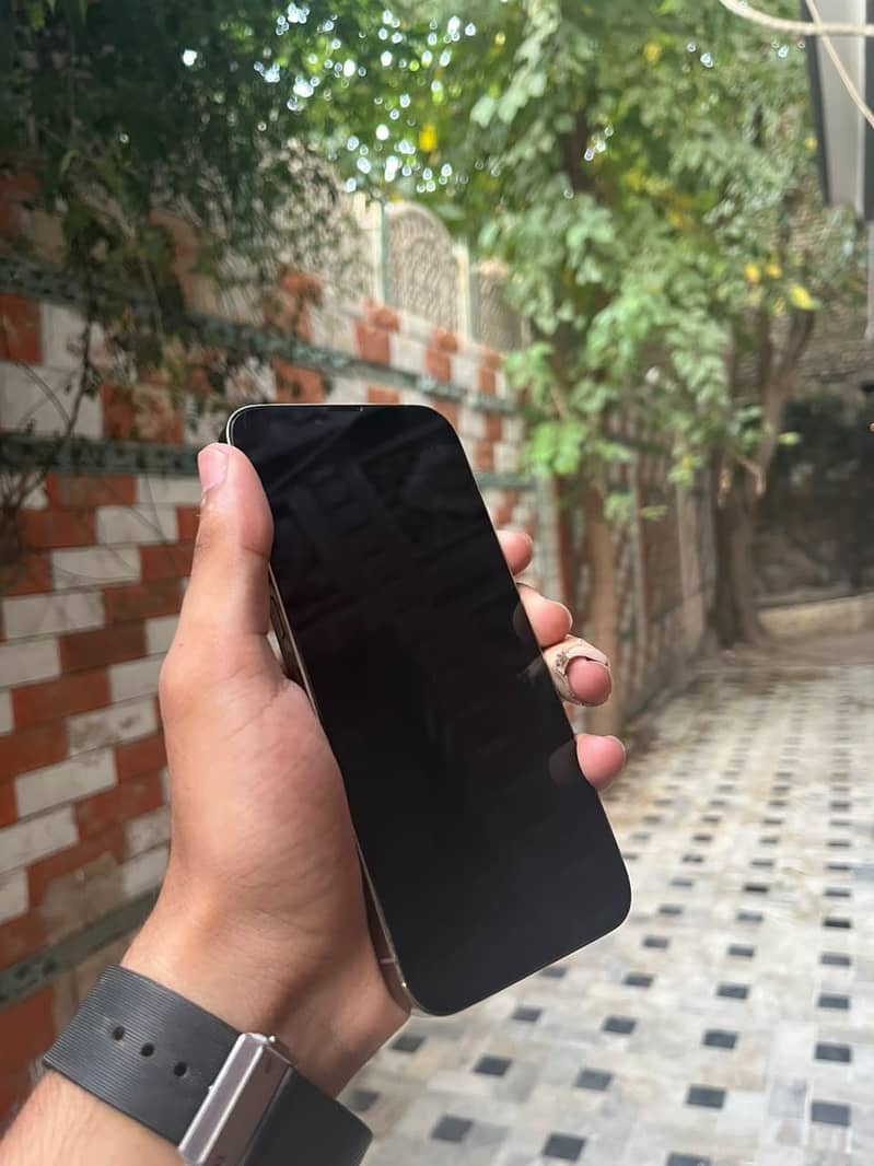 Apple iPhone 13 Pro Max 0