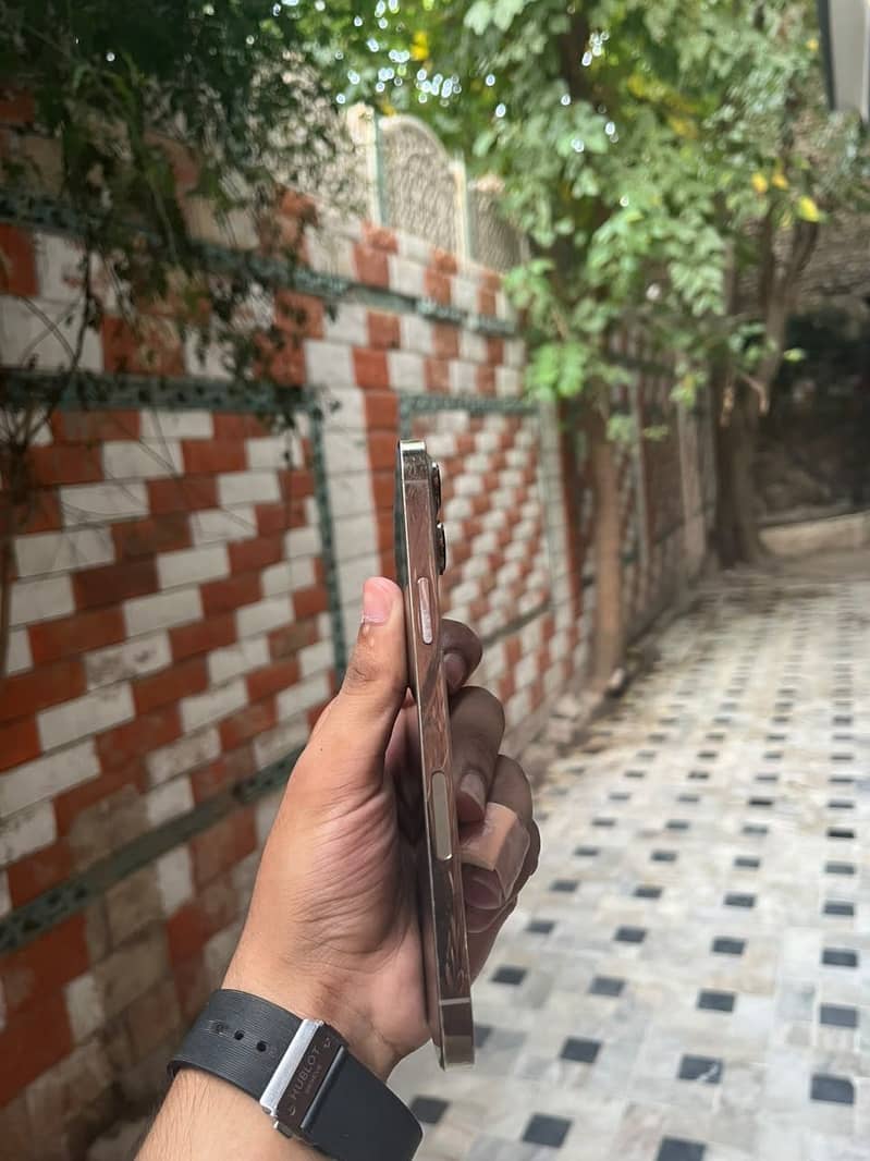 Apple iPhone 13 Pro Max 2