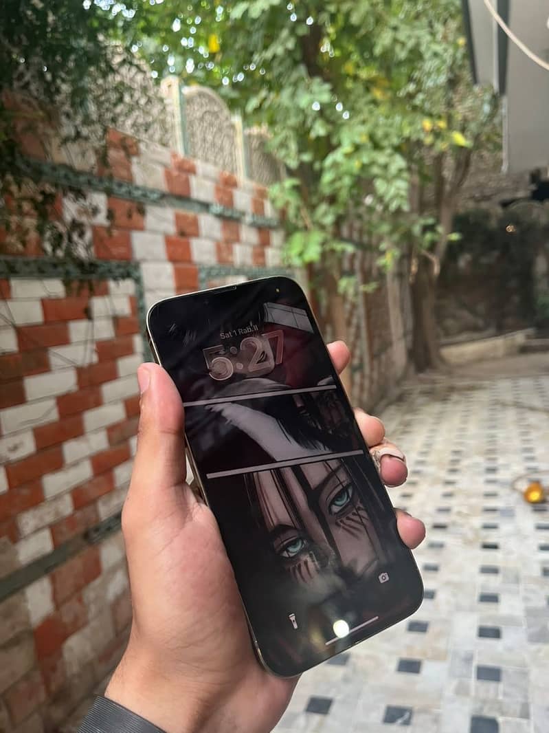 Apple iPhone 13 Pro Max 6