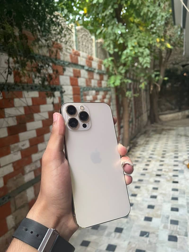 Apple iPhone 13 Pro Max 7
