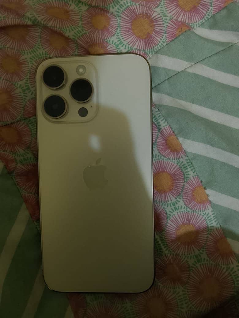 Apple iPhone 14 Pro Max 1