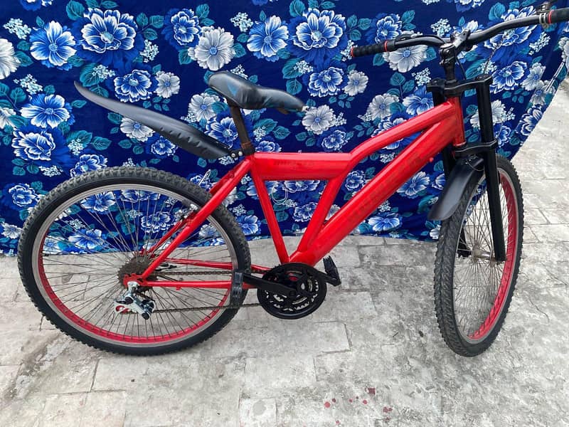 bicycle 0