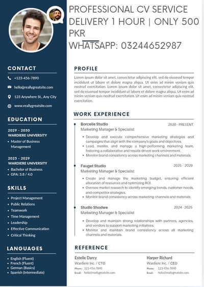 Professional cv with in 1 hour