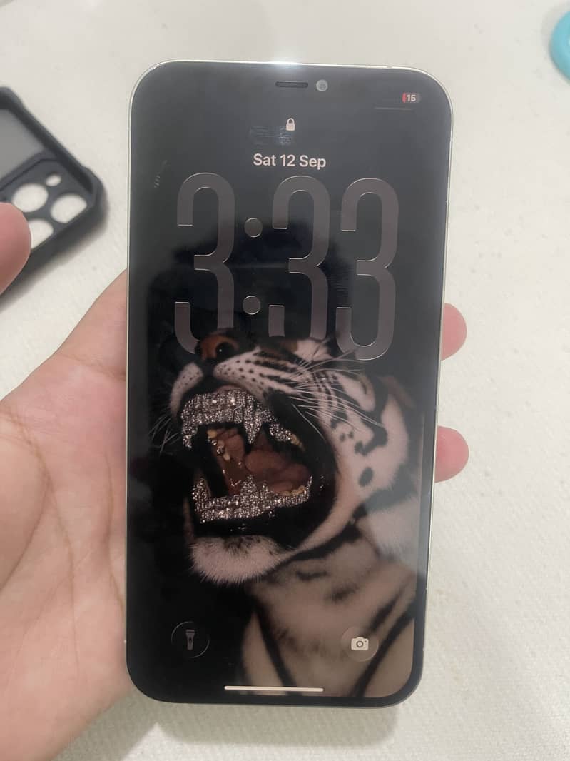 Apple iPhone 12 Pro Max 0