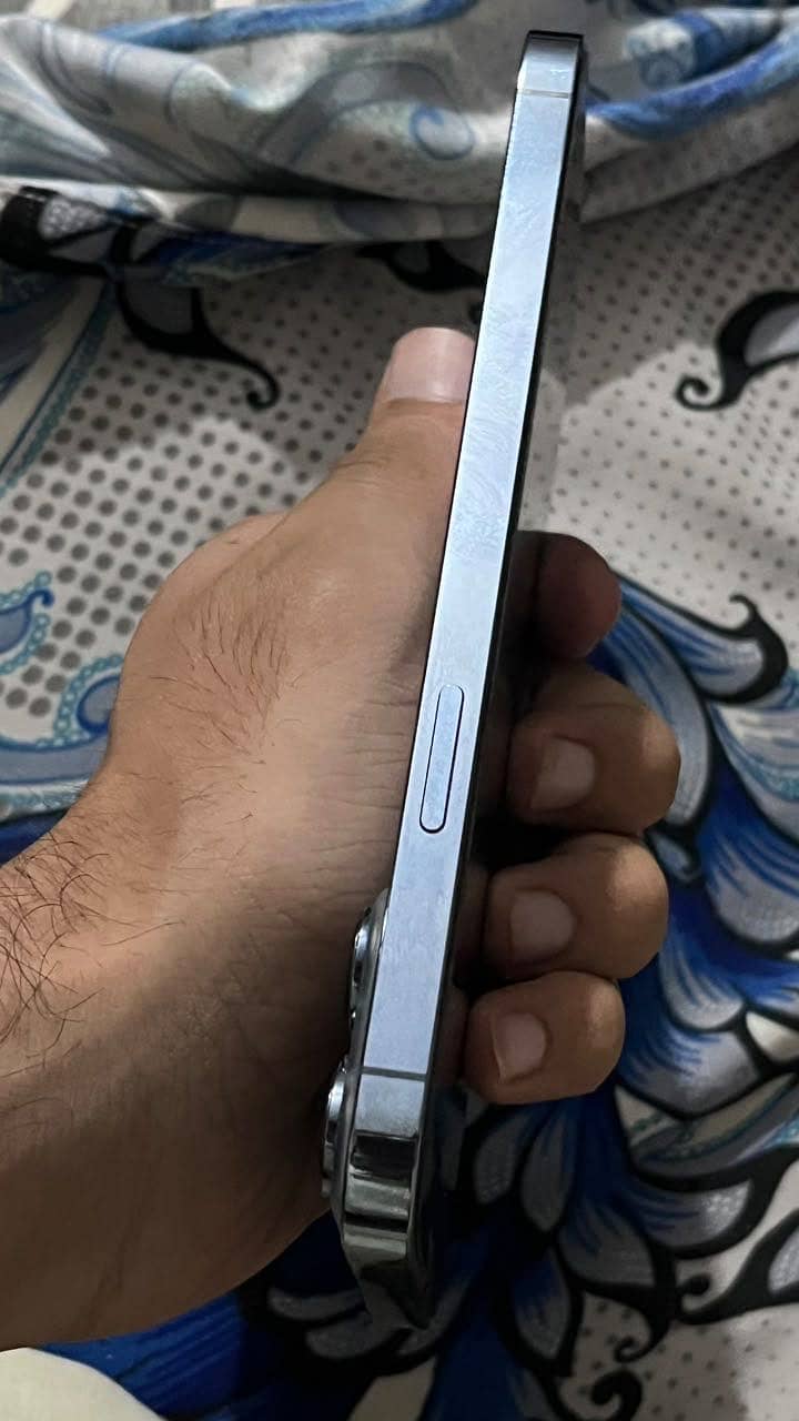 Apple iPhone 13 Pro Max 2