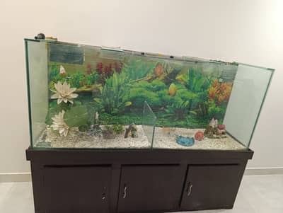 Fish Aquarium