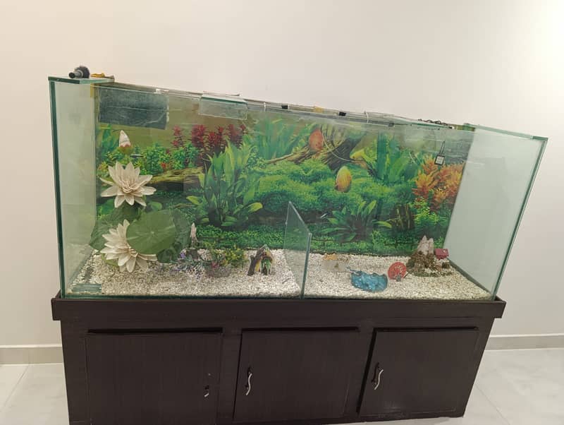 Fish Aquarium 0