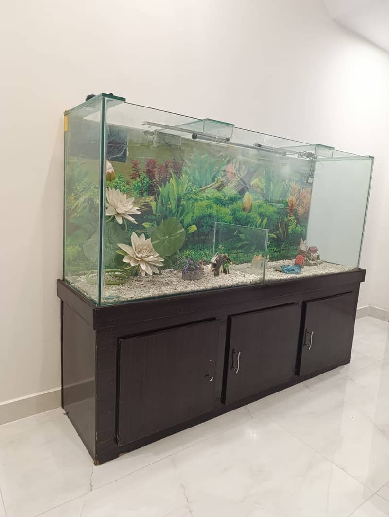 Fish Aquarium 1