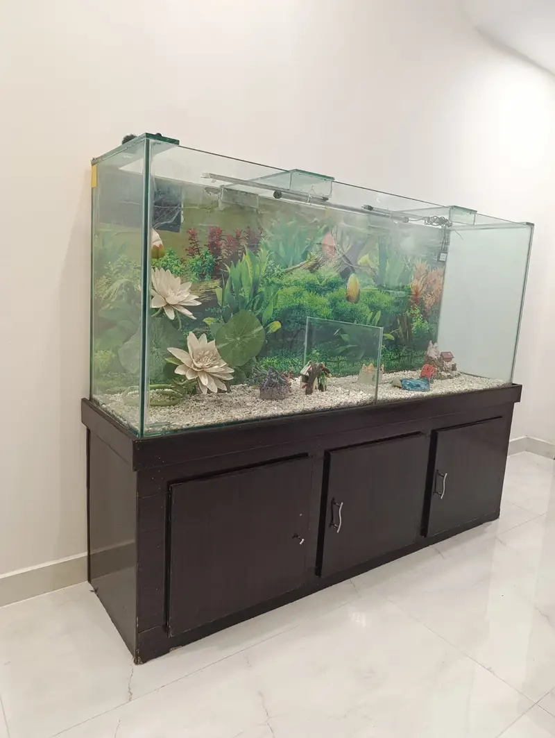 Fish Aquarium — photo 2