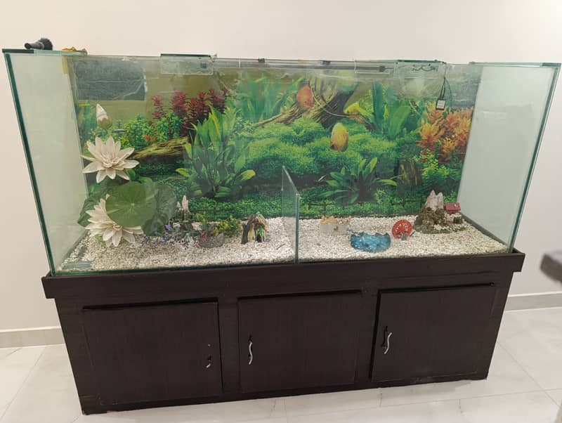 Fish Aquarium 2