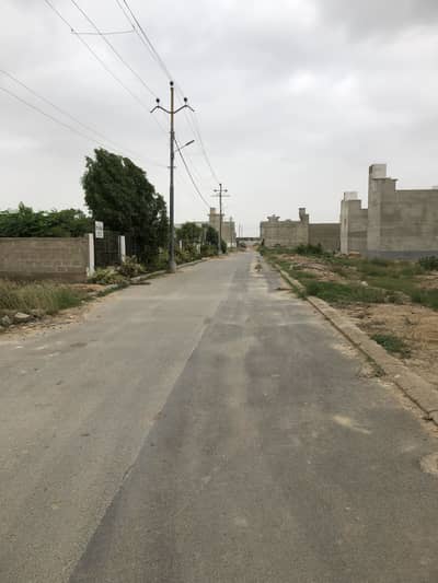 Punjabi Saudagaran Phase 2 Sector 50 Scheme 33 Plot Available For Sale
