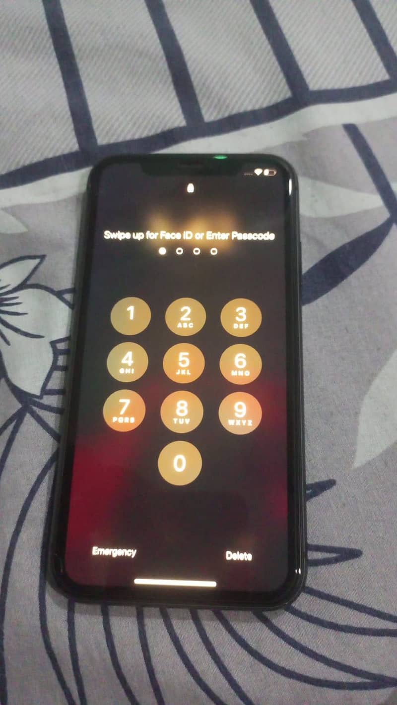 Apple iPhone 11 1